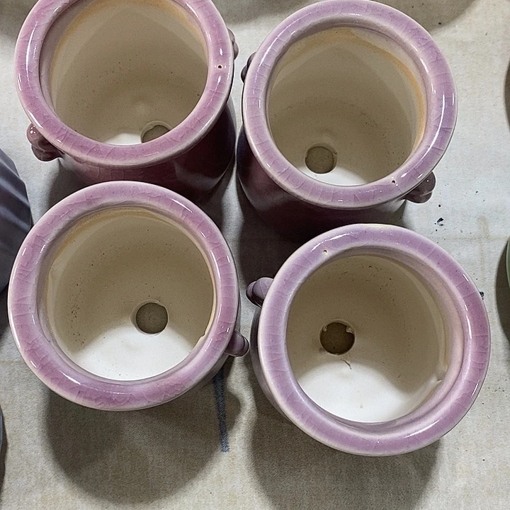 花盆抢购清货马上开始