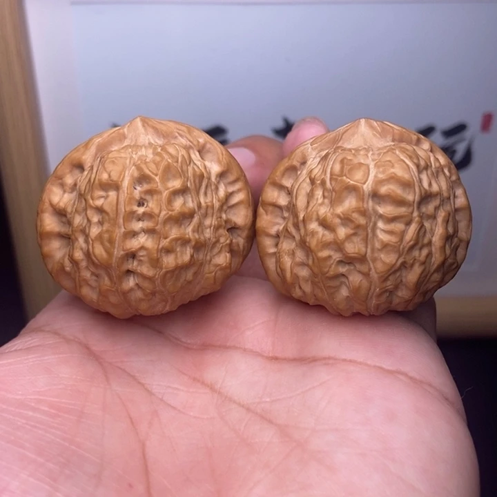 核桃小尺寸南瓜墩