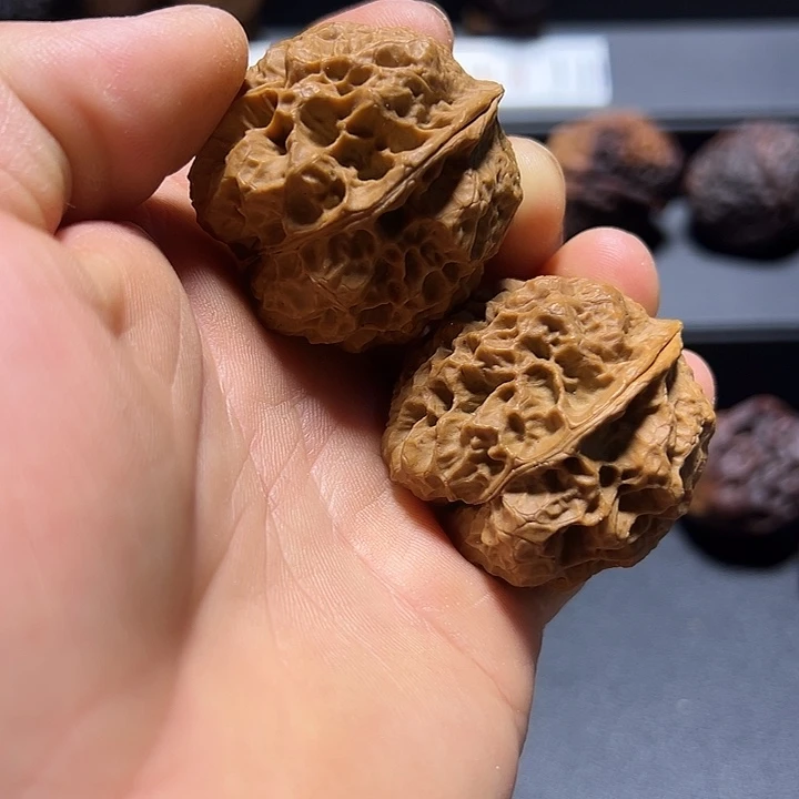 文玩核桃把件B临沧古蟾40mm