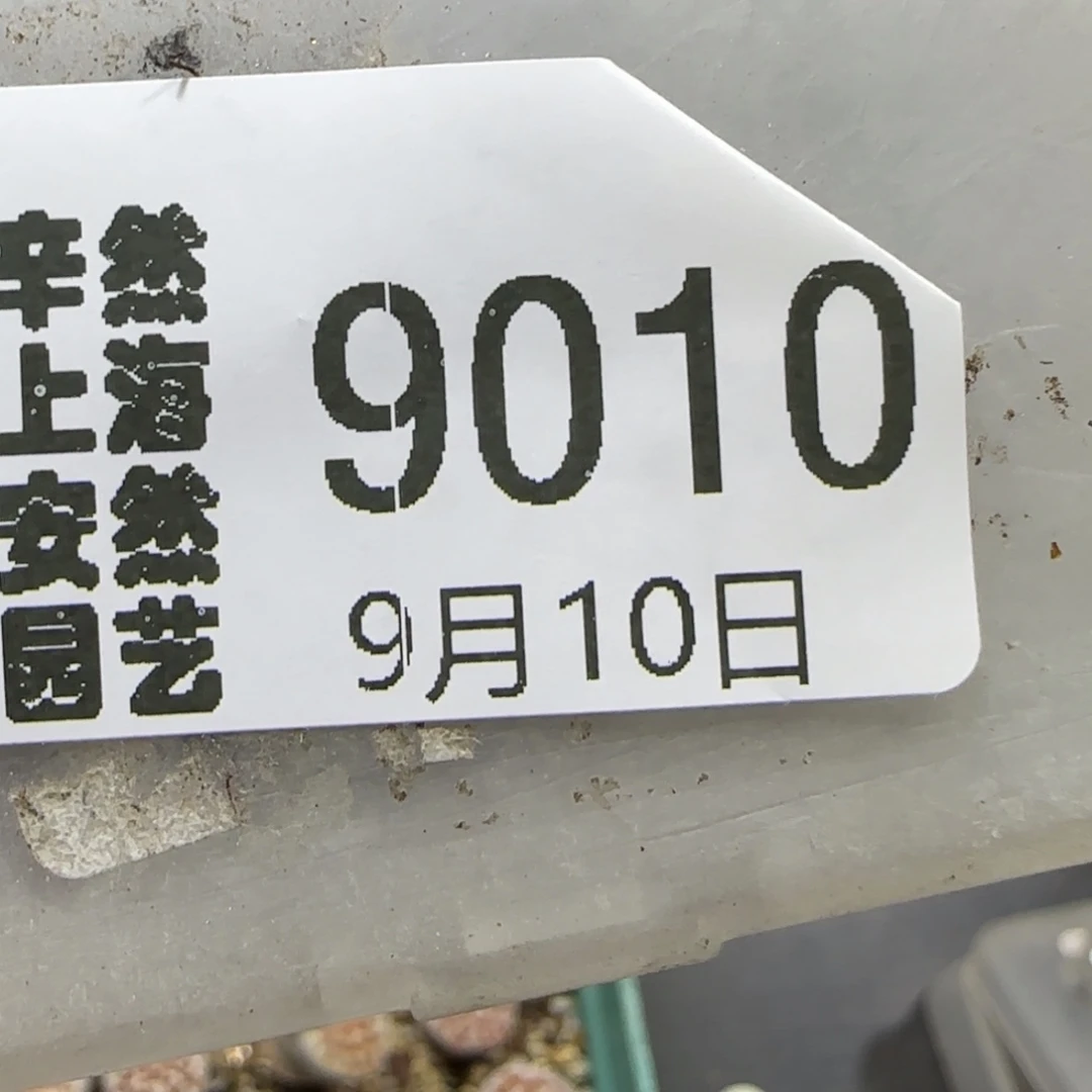 K***y9.10。    小可爱龙猫斑马。  9010补差