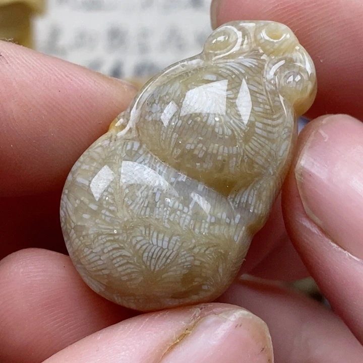 颈饰未镶嵌硅化珊瑚（珊瑚玉）小