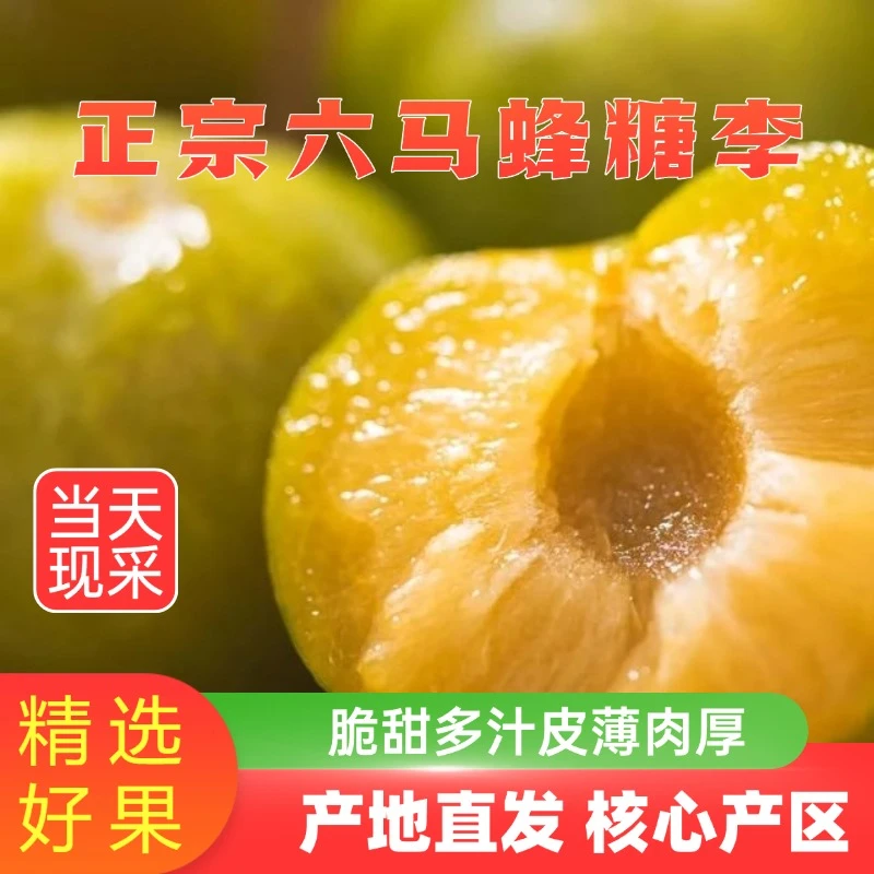 正宗六马蜂糖李 核心产区十年老树 次日达 脆甜可口贵州省