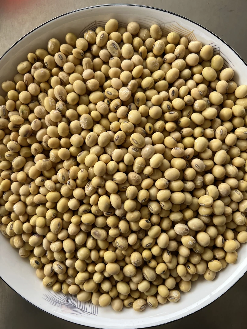 豆谷之乡—老品种黄豆
