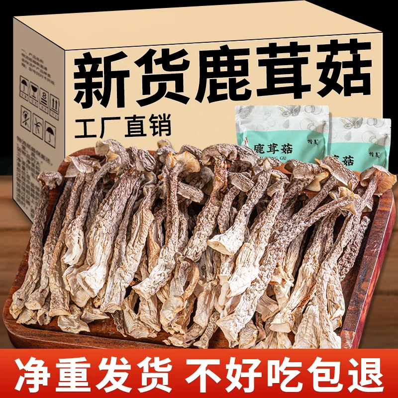 新鲜鹿茸菇干货鹿茸菌云南特产煲汤脆姑蘑菇香菇产地直发
