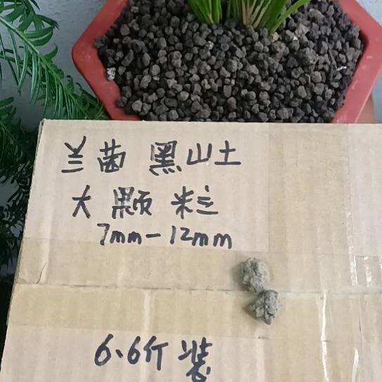 C***P兰菌黑山土大颗粒6.6斤