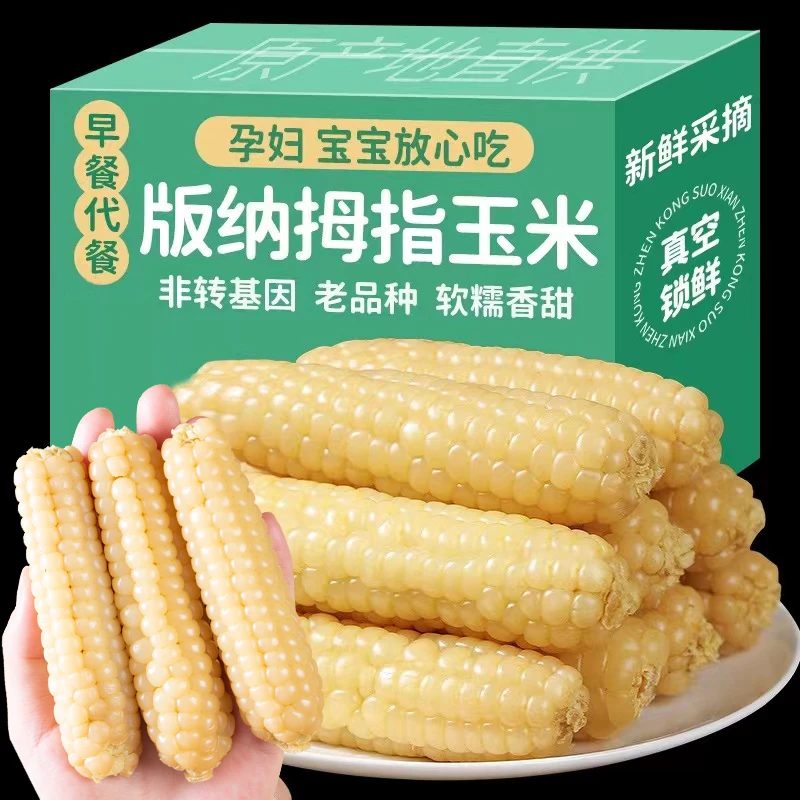 云南拇指玉米版纳香糯小玉米傣家甜黏手指玉米宝宝小玉米软糯香甜