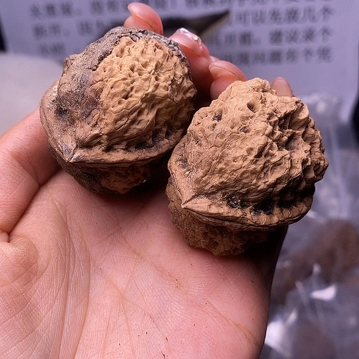 核桃云南野生铁核桃161号44mm