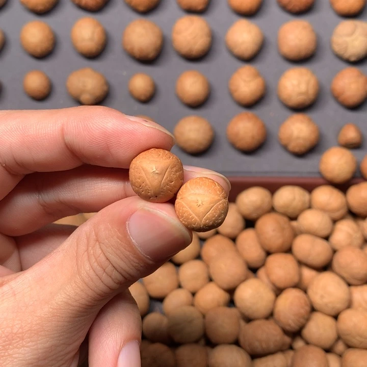 凤眼菩提吊坠我****)龙眼两颗，打孔不退换