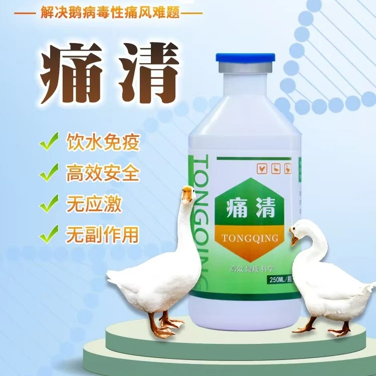 痛清小鹅痛风病毒性痛风小鹅饮水一瓶1500鹅用三天