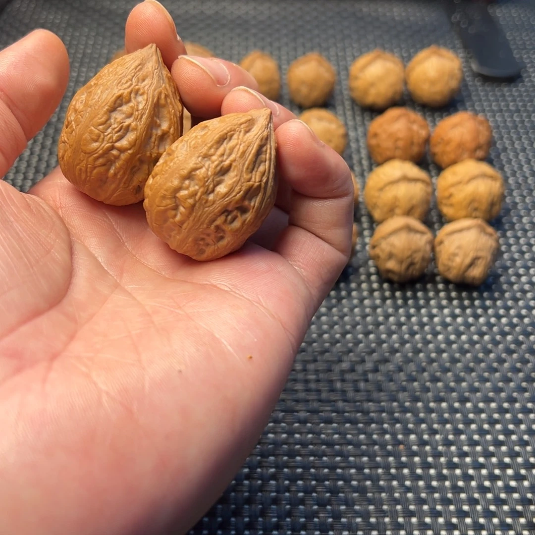 把件文玩核桃判官笔