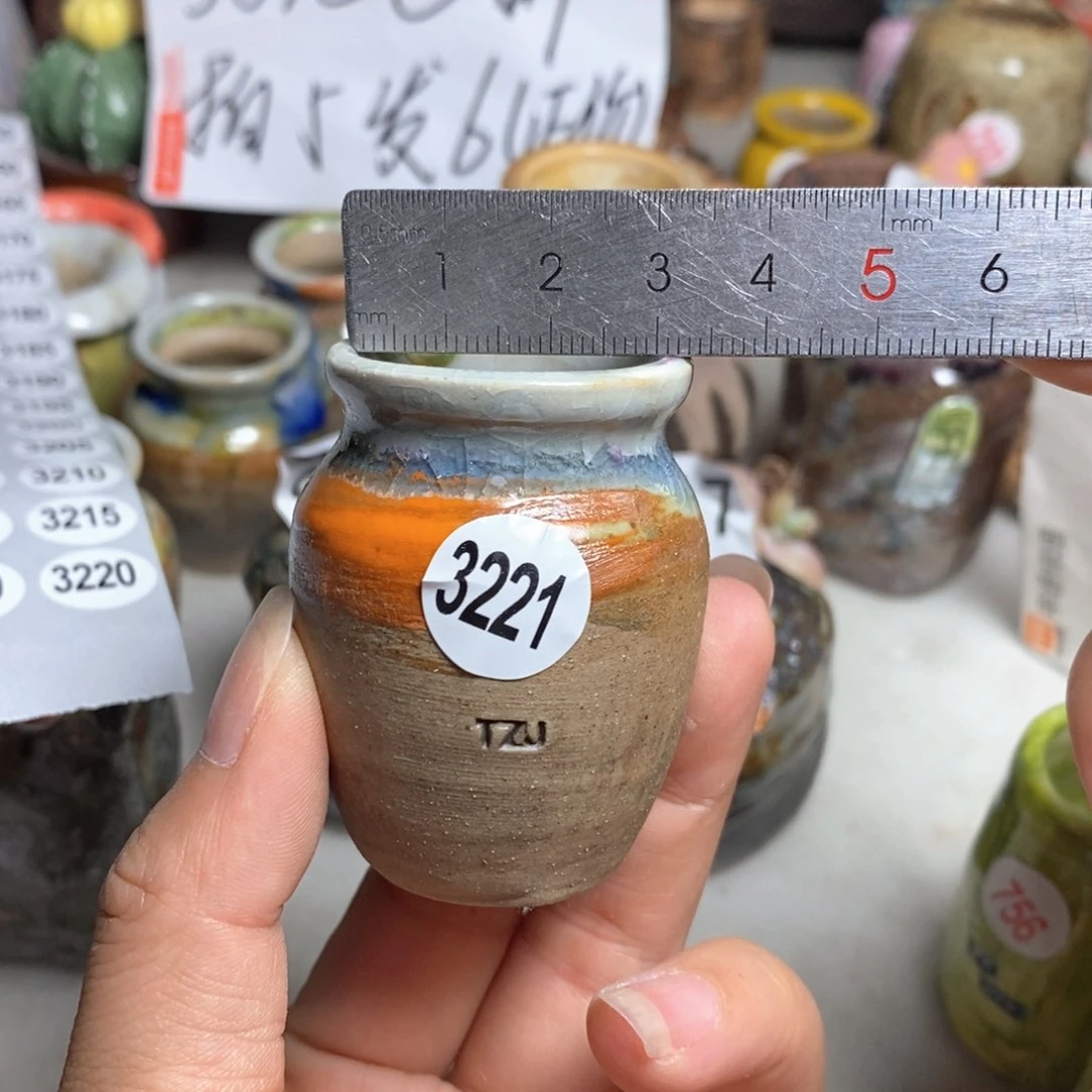 拍5送一个小礼物
