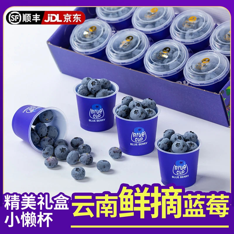 【8盒礼盒装】TY顺丰京东云南蓝莓鲜水果当季1盒60g/盒共480g