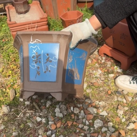 紫砂花盆紫砂花盆盆景盆栽