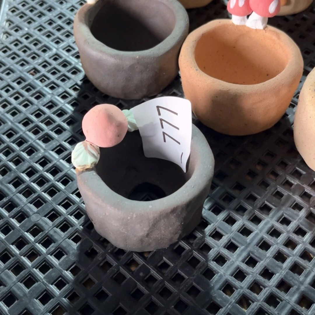 红陶冬****天777花盆1个