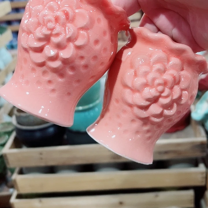 多肉植物陶瓷花盆