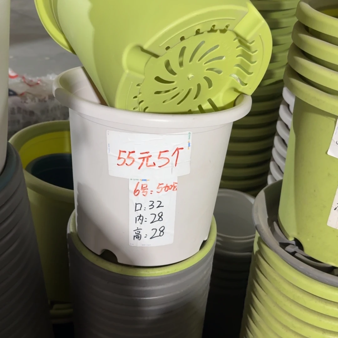 四季6#口径32带拖果绿10套