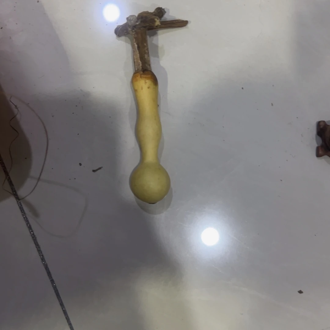 江***白青皮不包成青皮不包成