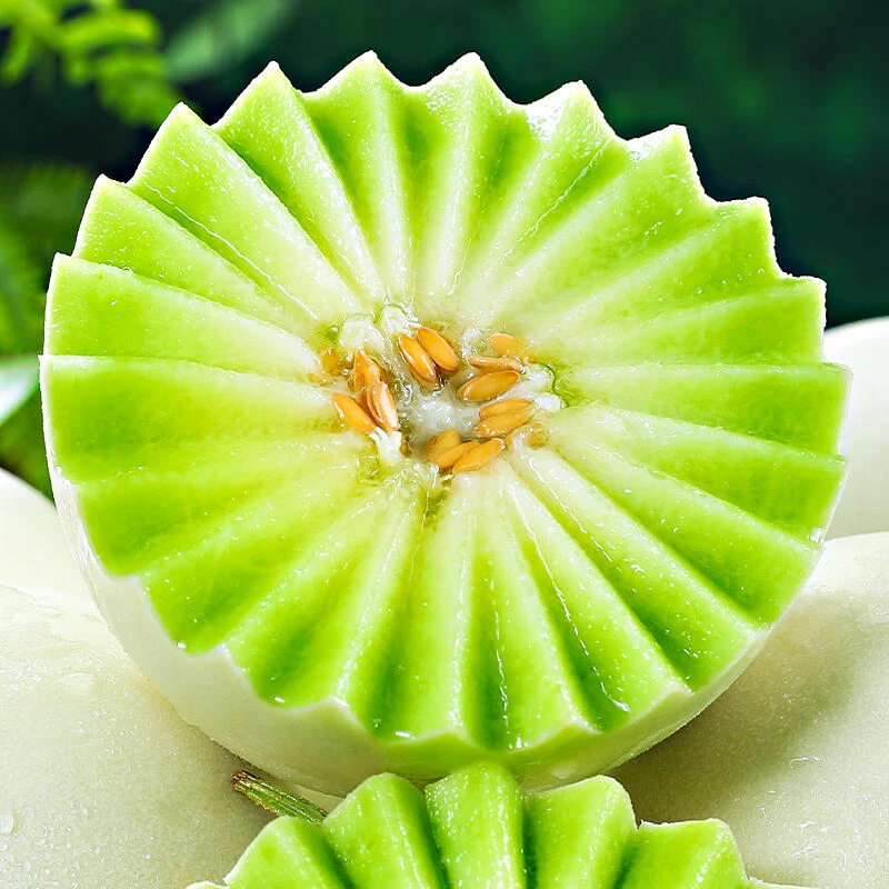 冰淇淋甜瓜 山东玉菇 头茬新鲜应季 软糯香甜 多汁 产地现摘现发