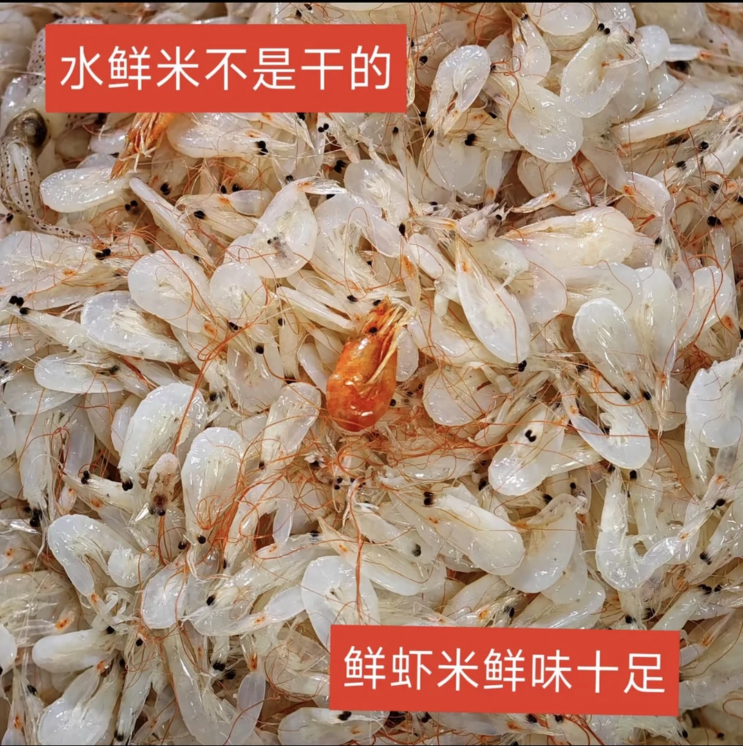 山东发货渤海湾鲜虾皮