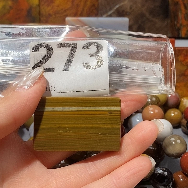 硅化玉未镶嵌天然北票树化玉吊坠