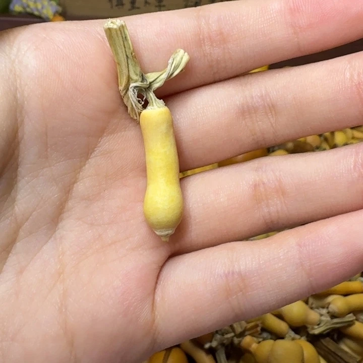 洺****葫芦葫芦家里葫芦