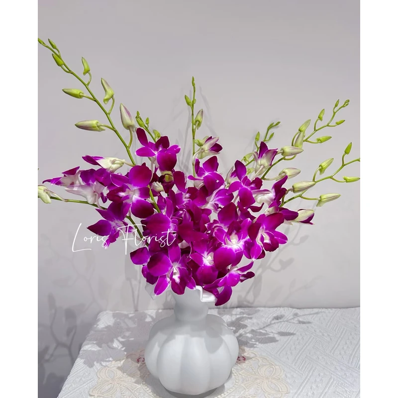【AAA级鲜花 · 顺丰冷链】洋兰鲜切花