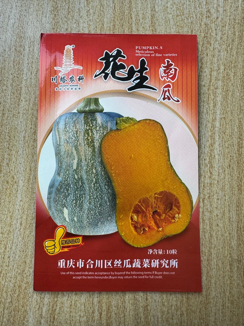 春秋种植花生南瓜