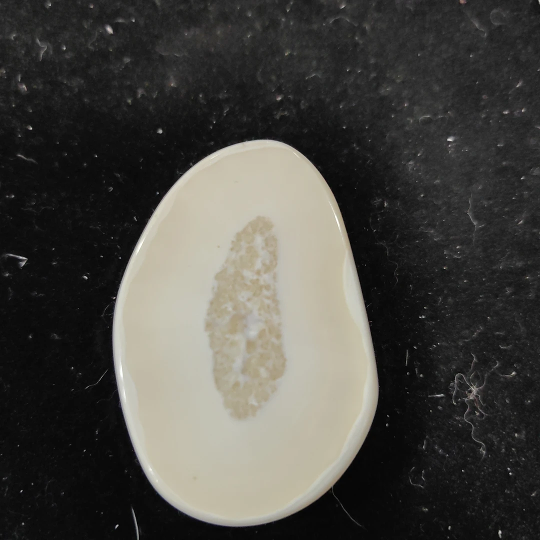 猛犸猛犸虬饼子WW55