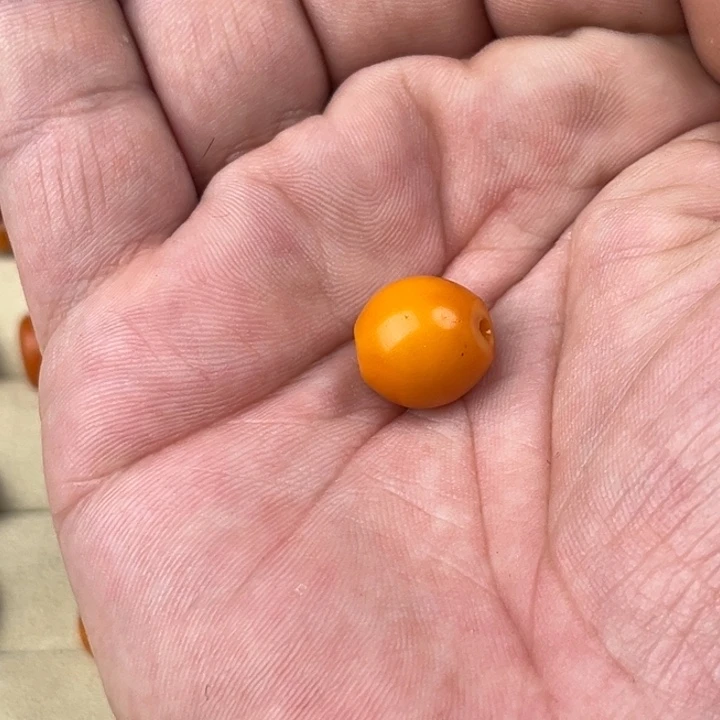 未镶嵌颈饰蜜蜡z*.老蜜蜡