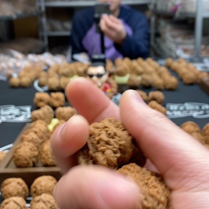 5***1大叶紫檀（黑酸枝木类）天残脚