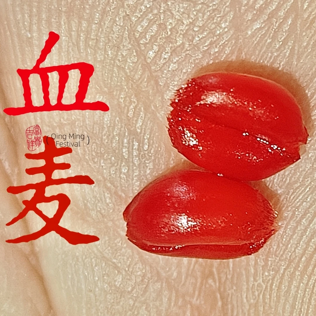 钓鱼谷麦粒诱食魔力血麦粒野钓鲫鱼鲤鱼草鱼鳊鱼麦子饵料钓饵窝料