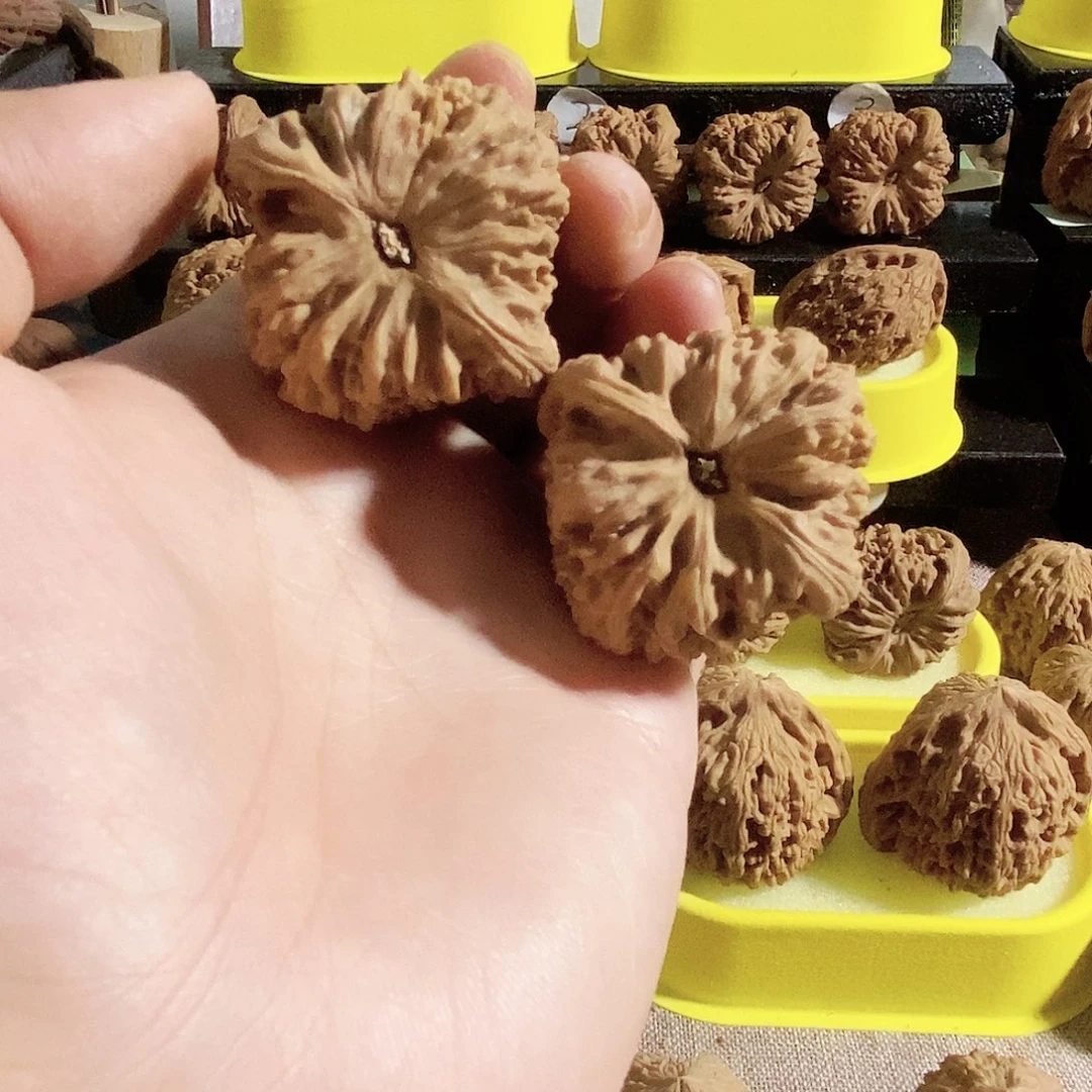 木质类今天是不是又要