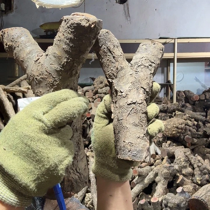 冰***式香榧木火琉璃的故事是一个