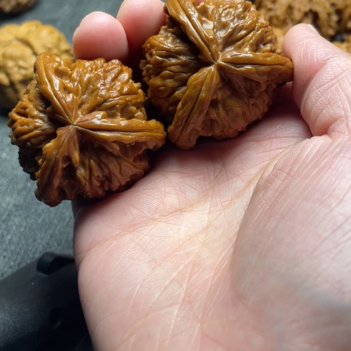 R***g手工三棱白狮子三棱