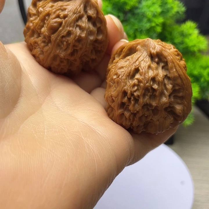 全品无修44三角疆