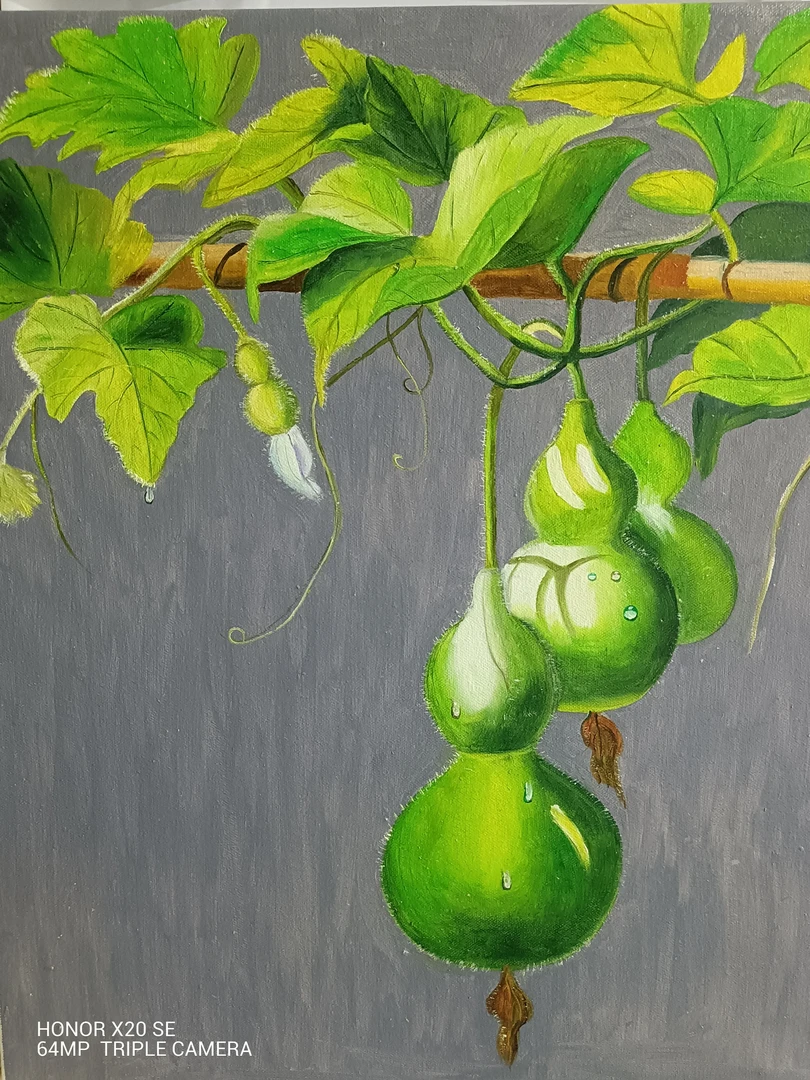 葫芦！寓意福禄！适合卧室书房餐厅！宽50高60！