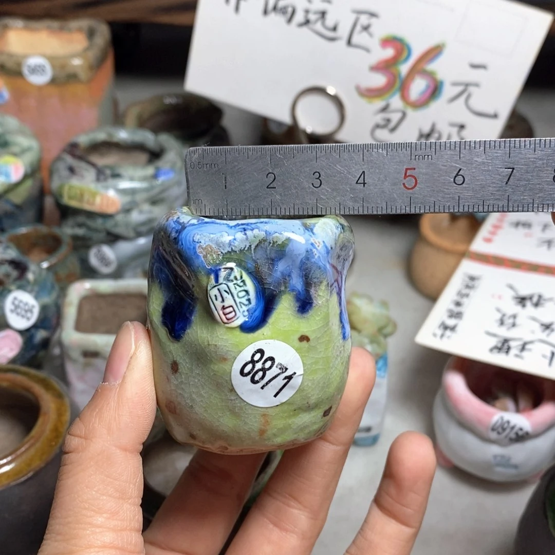 玺*?花盆双十二活动不退不换中奖