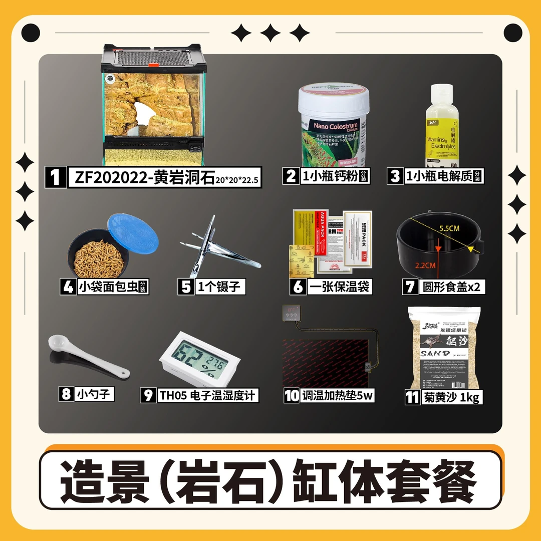 守宫造景饲养套餐（观赏性较高）