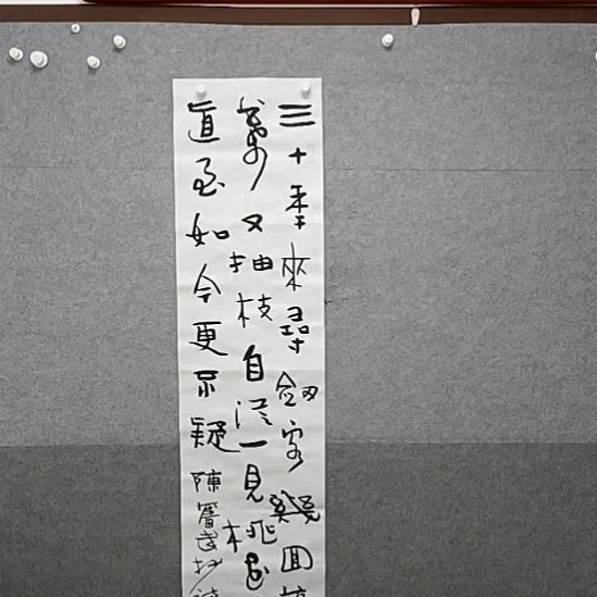 书法S4尺竖轴行草书书法作者