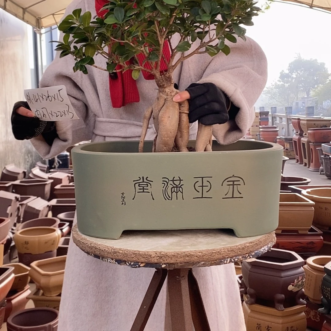 花盆紫砂紫砂花盆