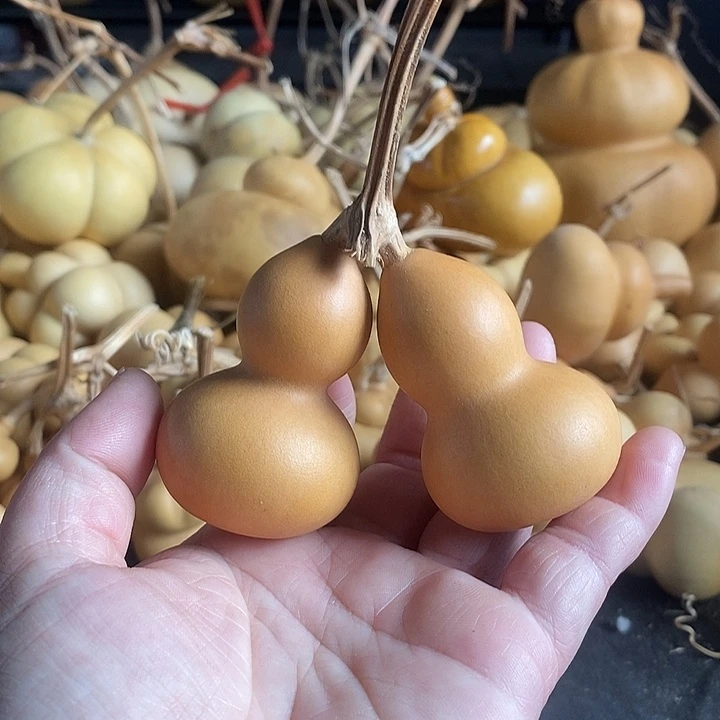 葫芦的颜色很好看