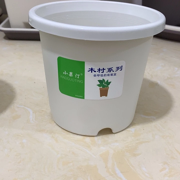 小果汀15口白10个无托