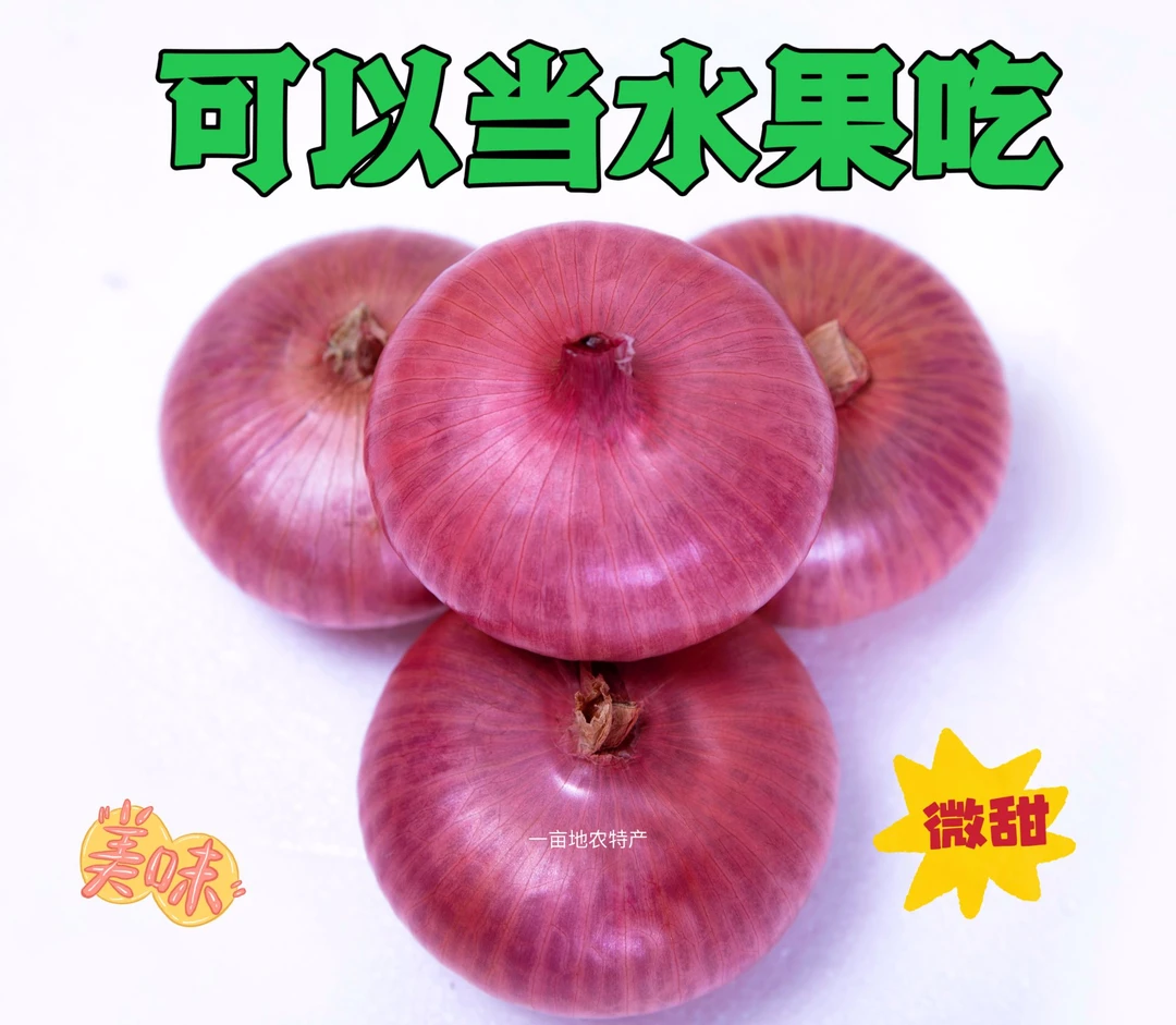 山东水果洋葱5斤扁平洋葱生吃脆甜微辣当季蔬菜食用农产品