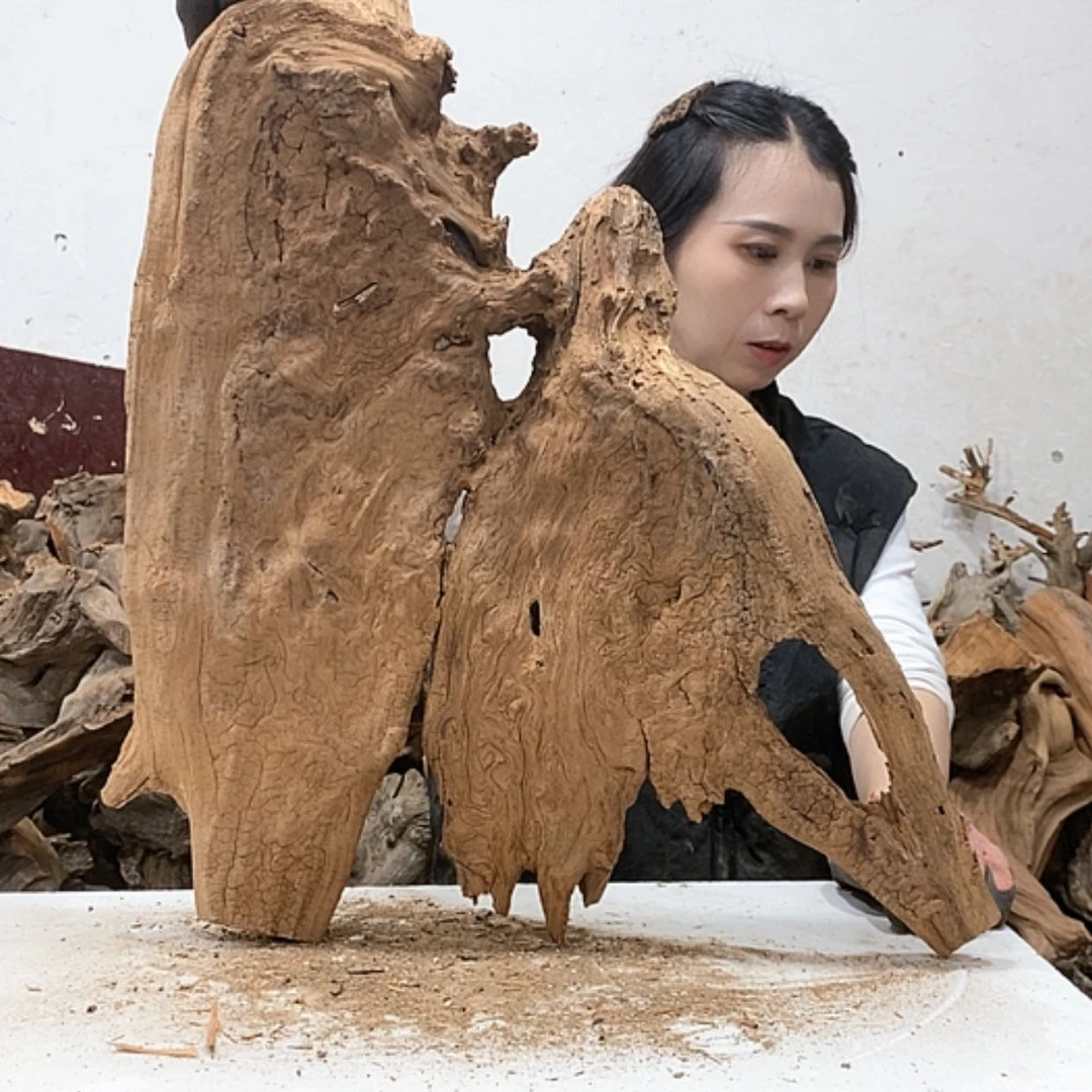 【闪购商品】柏木溜*我们都是好孩子