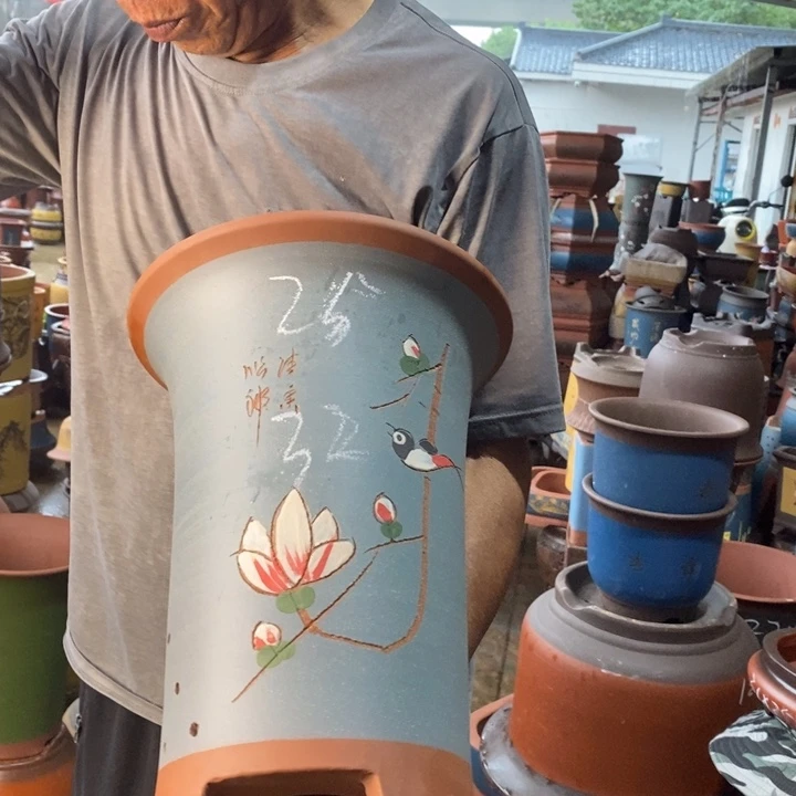 紫砂花盆盆栽花卉种植