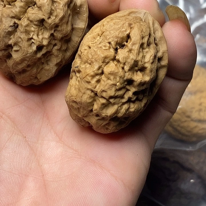 文玩核桃把件云南铁核桃37号43mm