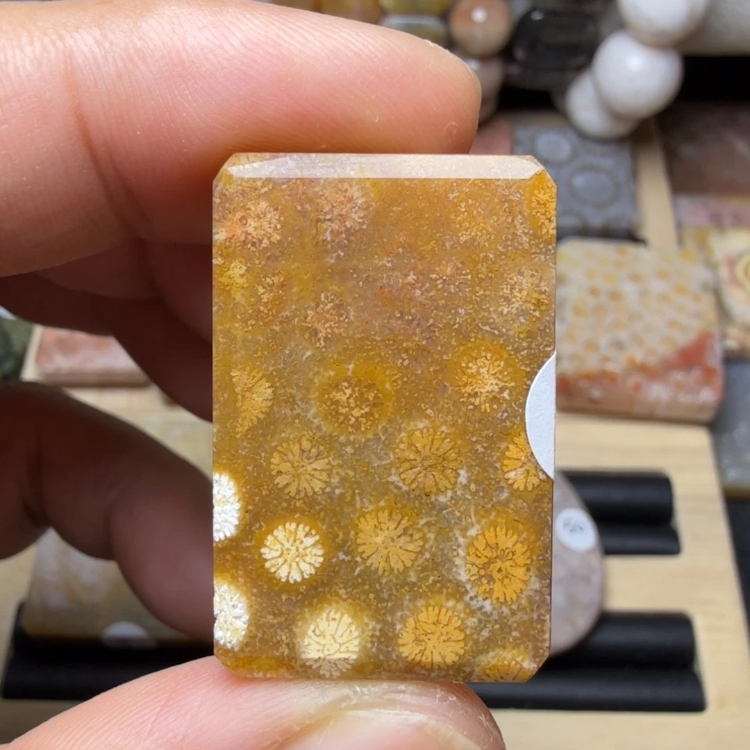 硅化玉未镶嵌纯天然色有机玉石保真色无珠无绳不退换