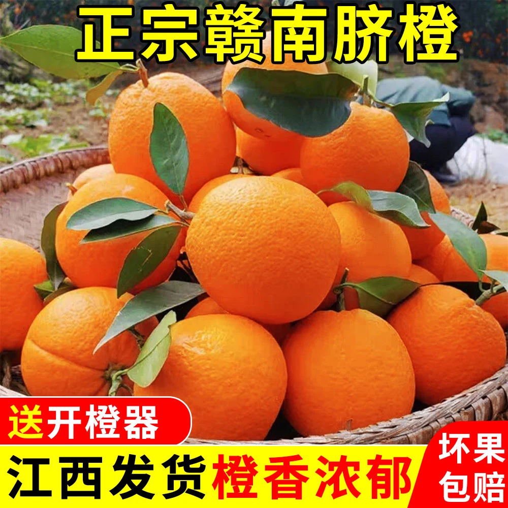 正宗赣南脐橙橙江西橙子当季新鲜水果产地直发正宗江西赣州脐橙