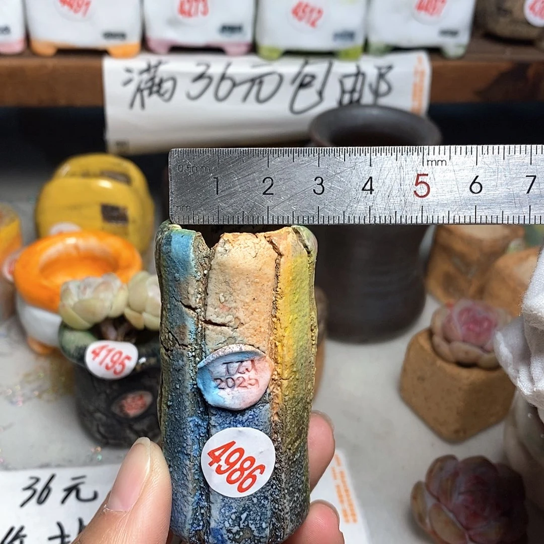 红陶拍5送一个小