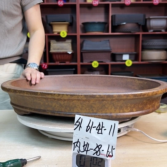 冷*_紫砂花盆里放的东西也